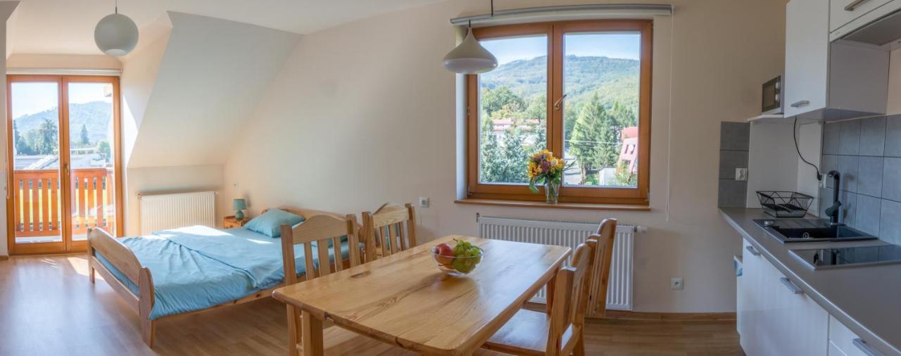 Sno Apartments Szczyrk Buitenkant foto